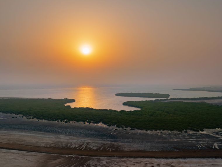 Farasan Islands Reserved Area - Visit Saudi Official Website