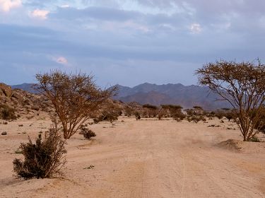 شاهدوا النجوم في وادي القمر الموقع الرسمي للسياحة السعودية