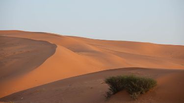 サウジアラビアの壮大な砂漠 公式ウェブサイト Visit Saudi