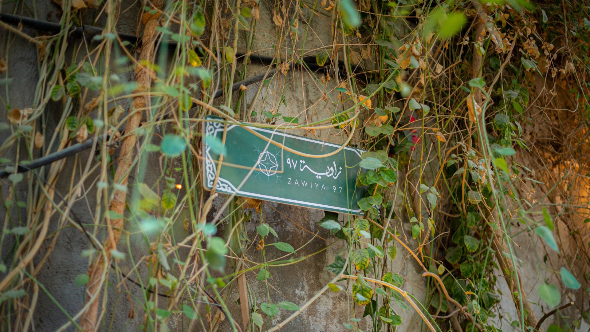 Zawiya 97