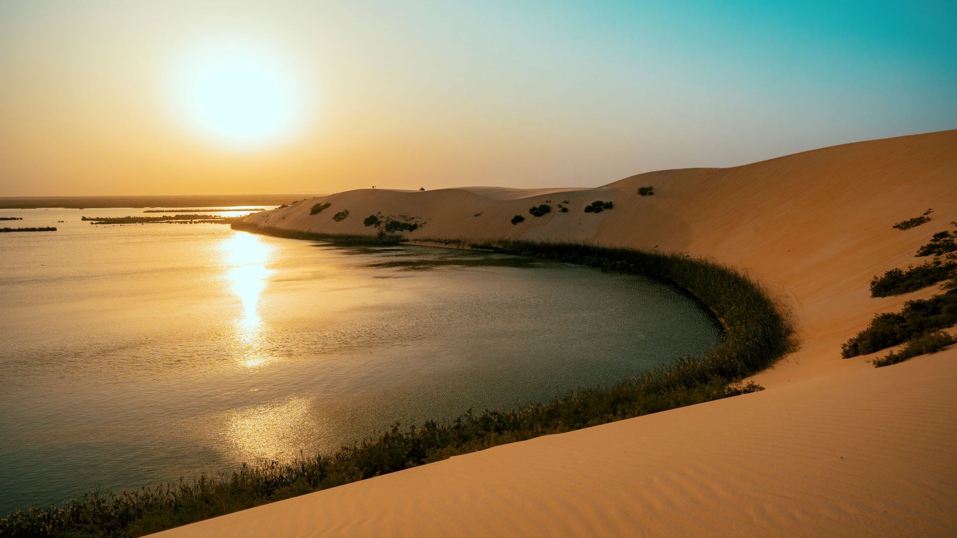 Ain al-Asfar, le « Niagara du désert » : Une oasis éternelle au cœur de l'Arabie Saoudite