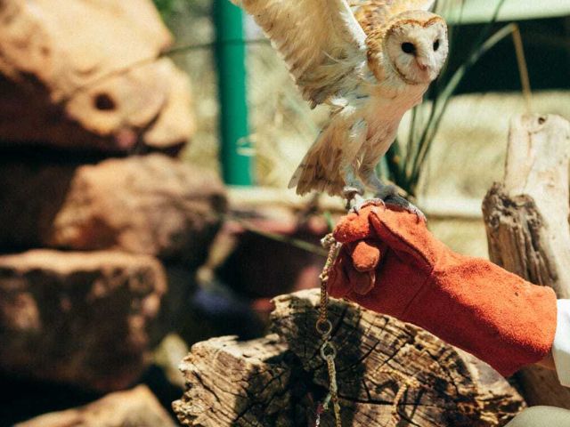 Explore the wildlife centre