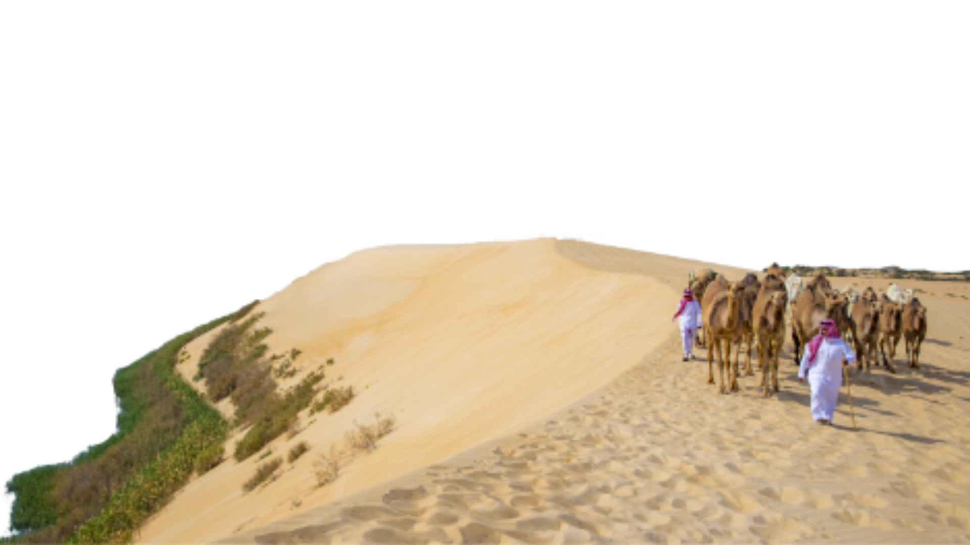 Al Ahsa