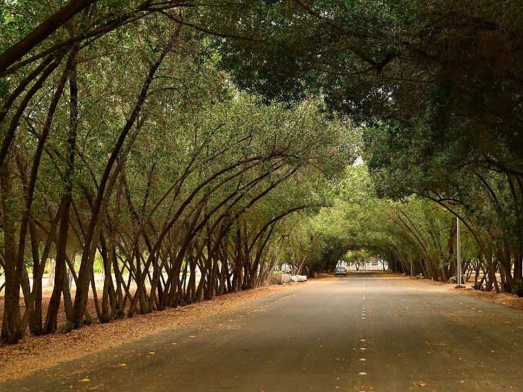 King Fahad Park in Najran - Visit Saudi Official Website