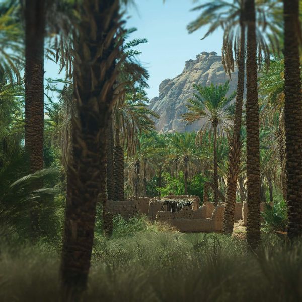 Oasis Summer Farm Discoveries