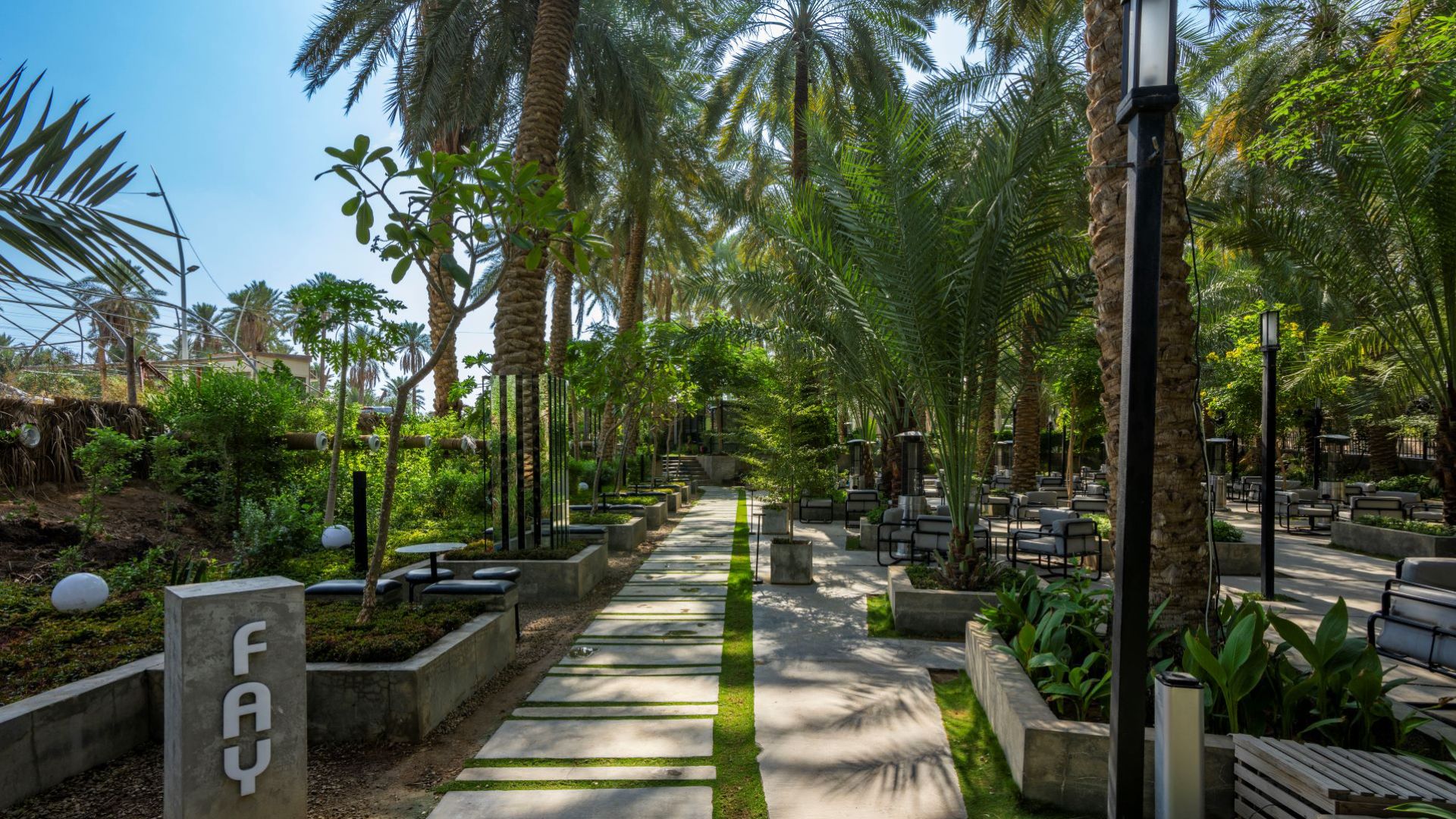 palms-avenue-in-qassim