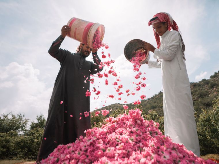 Taif | City of Roses and Mountain Breezes | Visit Saudi - Visit Saudi Official Website
