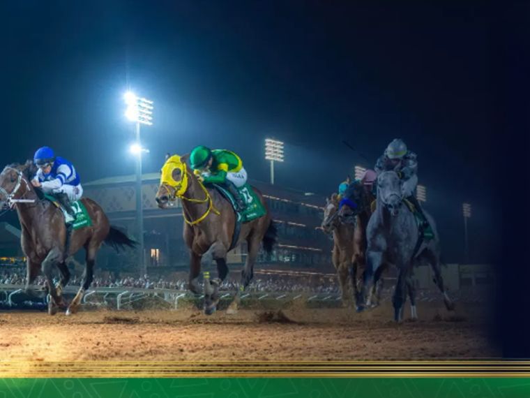 Saudi Cup - Visit Saudi Official Website