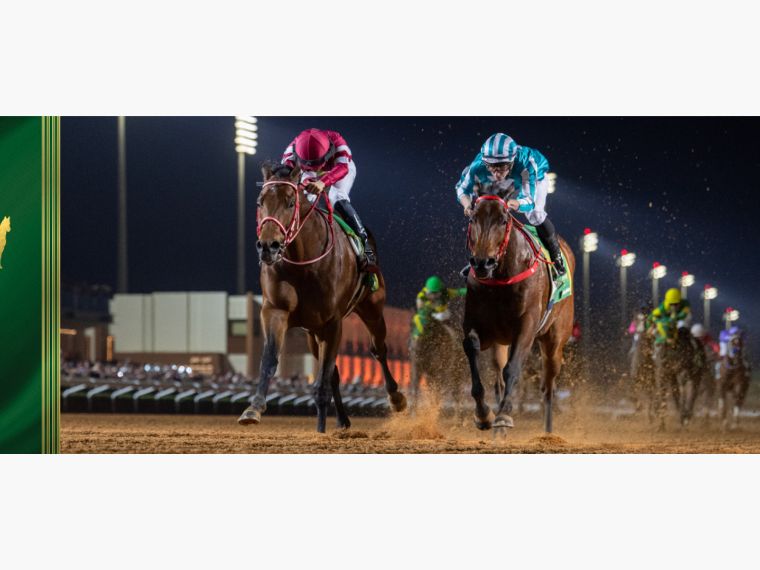Saudi Cup 2026 - Visit Saudi Official Website
