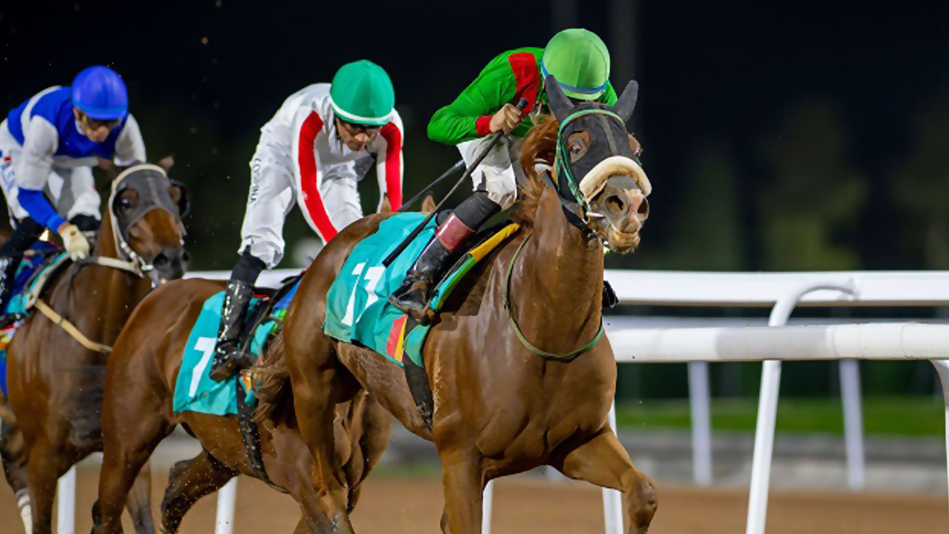 taif-racing-meeting-32