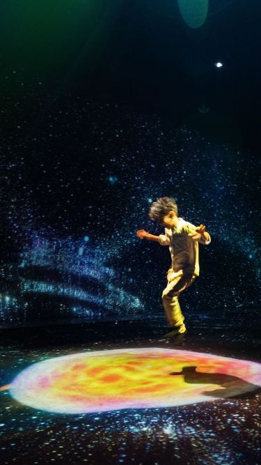 teamlab-borderless