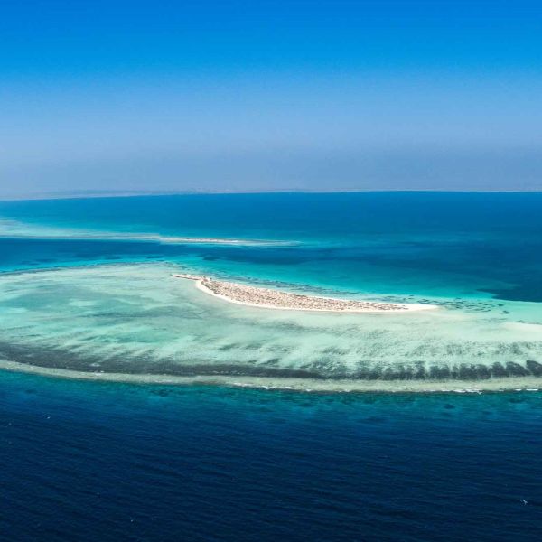 رحلة نهاية الاسبوع